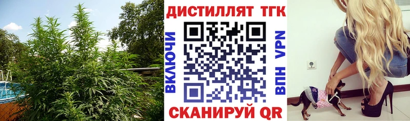 ТГК концентрат Новый Уренгой