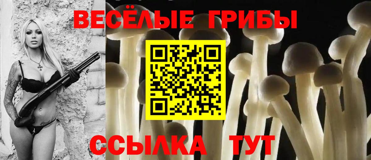 где продают наркотики  Вход с VPN  Новый Уренгой  Псилоцибиновые грибы GOLDEN TEACHER 