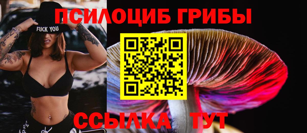 Псилоцибиновые грибы ЛСД Новый Уренгой