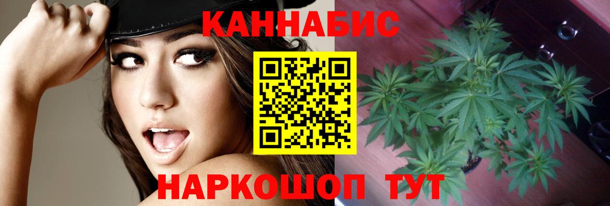 Конопля MAZAR  Канабис планчик  Вход с VPN  Бошки Шишки семена  Новый Уренгой  Конопля LSD WEED 